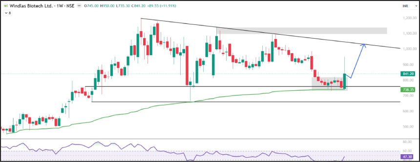 Windlas Biotech Ltd Stock Technical Analysis by MNCL